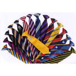 primary school kid tie