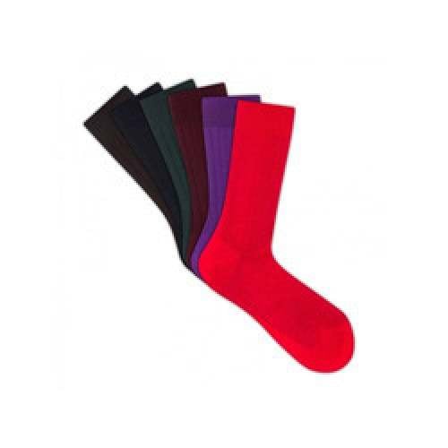 Coloured Ladies Socks by Zenith Products