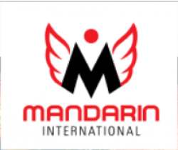 Mandarin International logo icon