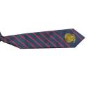 school-striped-printed-tie