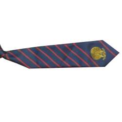 School Striped Printed Tie