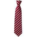 Student School Tie