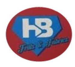 HB Frills And Fabs logo icon