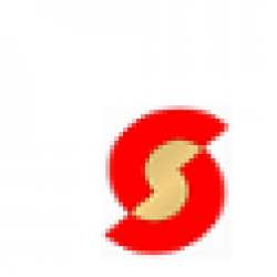 STI India Limited logo icon