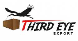 Third Eye Export logo icon