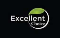 Excellent Choice logo icon