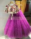 Purple Colored Blouse Embroidered Lehenga Cholli.