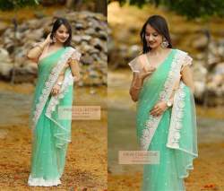 Designer Soft Net Saree With Embroidary work