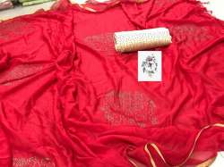 Jaipur saree with Daimond bodar