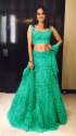net-lehenga-d-n-snl-11001