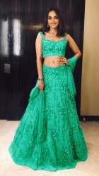 Net Lehenga - D.N.SNL-11001