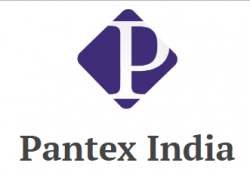 Pantex India logo icon