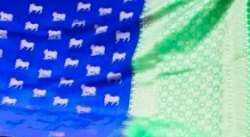 Buy Animal Weaved Saree At Wholesale