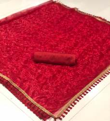 Net Saree With Embroidery Work Saree