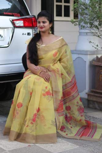 Oragenza Design Saree 