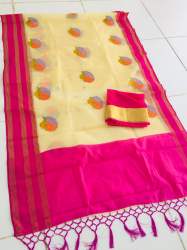 Soft Organza Saree with embroidery work