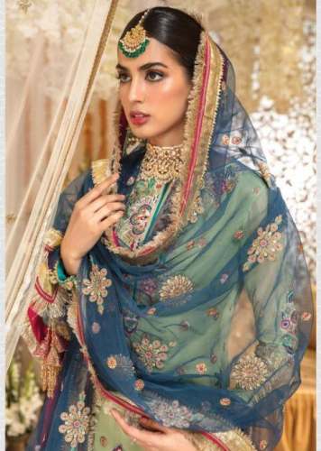 Saaniya -Anaya Net Pista Salwar Suit