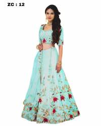 Zenny Arya_2 Heavy Lehnga Choli