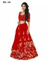 zenny-arya-9-heavy-lehnga-choli