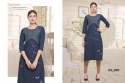 Straight Denim Kurtis  thumb 1