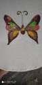 butterfly-design