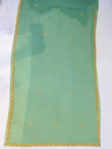 Pista color Lucknowi Hand embroidered Saree