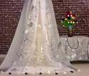 Ladies Wedding Organza Silk Embroidered Sarees thumb 2