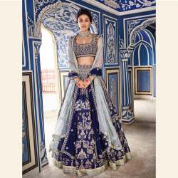 Elegant Navy Blue Banarasi Silk Lehenga Choli