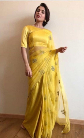 organza saree