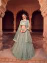 Designer Partywear Lehenga Choli-Heavy Net Designer Lehenga Choli thumb 3