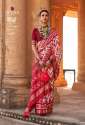 Designer Patola Saree - Raag