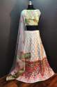 lowvina hubs party wear lehengha choli thumb 1