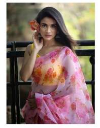 Organza saree