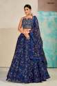 Dresstive Vol 6 Organza Designer Readymade Lehenga Choli thumb 3