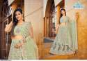 Resham Embroidery Mrudangi Madhurya Lehenga Choli thumb 2