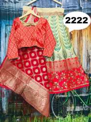 Stylish Party wear Lehenga Choli