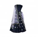 Blue lehenga choli -2 thumb 2