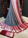 Silver Doriya Rich Pallu thumb 11