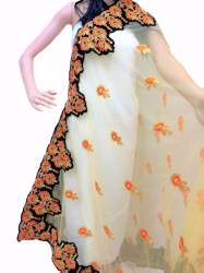 Fancy net Duppata with velvet border by Shubham Creation