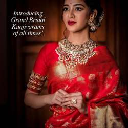 SOFT LICHI SILK CLOTH SAREE