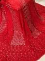Red Lucknowi Chikankari Ring Mukaish Lehenga Set thumb 1
