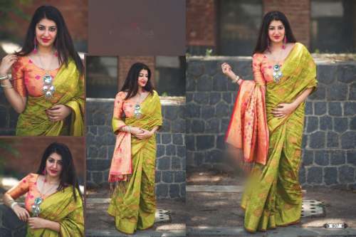 Banarsi silk saree - rich pallu by Precious Fab