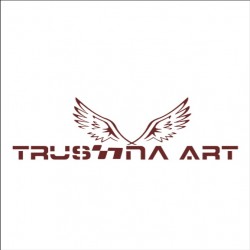 trushna art logo icon