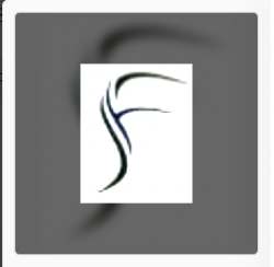 Saba Fashions logo icon