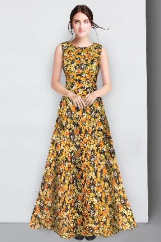 Rajwadi Gown