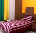 cotton bed sheet single and double 