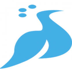 say1 international logo icon