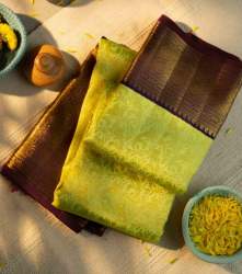 beautiful chic Pista wine Kanchipuram Silk Saree