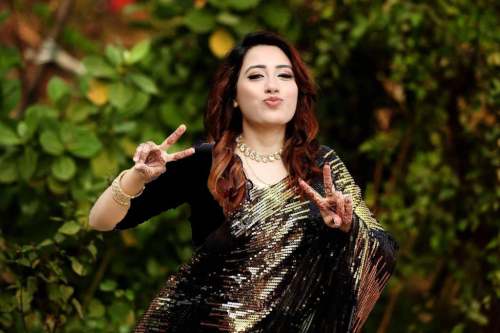 BEAUTIFUL PARTY WEAR DUAL SEQUANCE saree by Panth International