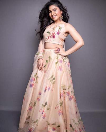 Organza  lehengha choli With Dupata